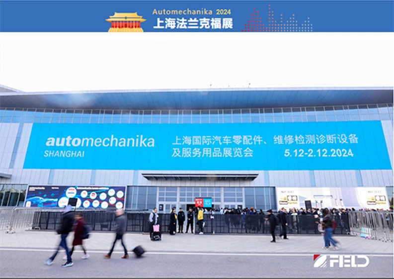 royalvbelt royalvbelt